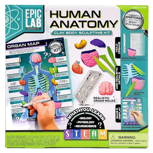 ArtSkills® Epic Lab Human Anatomy STEM Kit